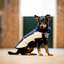 HORSEWARE Hundemantel Fleece