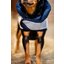 HORSEWARE Hundemantel Fleece