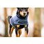 HORSEWARE Hunde-Regenmantel