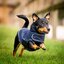 HORSEWARE Hunde-Regenmantel