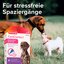 beaphar CaniComfort Wohlfühl Spot-On