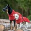 pawberry Hunde-Regenmantel Rainstormer
