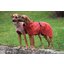 pawberry Hunde-Regenmantel Rainstormer