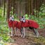 pawberry Hunde-Regenmantel Rainstormer