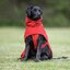 pawberry Hunde-Regenmantel Rainstormer