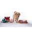 pawberry Hundespielball Leckerli