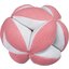 pawberry Hundespielball Leckerli