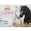 Miss Melody Briefbox Handlettering