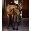 eaSt Reitleggings REGGINGS R1