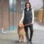 Cheval de Luxe Thermo-Reitleggings
