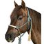 L-pro West Knotenhalfter mit Rohhaut
