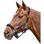 EQUEST Halfter Equi-Stretch