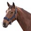 Horse-friends Longier- und Stallhalfter