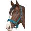 Horse-friends Longier- und Stallhalfter