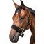 Horse-friends Longier- und Stallhalfter