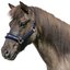 Horse-friends Webhalfter Take it Isi