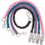 Horse-friends Anbinder