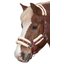 Horse-friends Webhalfter Vigo mit Kunstfell