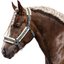 Horse-friends Webhalfter Vigo mit Kunstfell
