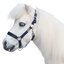 Horse-friends Halfter