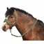 Horse-friends Halfter-Set Rouen