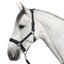 Cheval de Luxe Halfter Lyon
