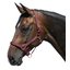 Horse-friends Halfter Lima