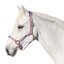 Horse-friends Halfter Lima