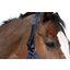 Horse-friends Sicherheits-Halfter