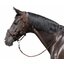 Cheval de Luxe Halfter Limoges