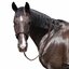 Cheval de Luxe Halfter Limoges