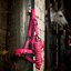HORSEWARE Halfter und Führstrick Newmarket