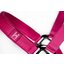 HORSEWARE Halfter und Führstrick Newmarket