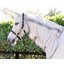 HORSEWARE Fliegendecke AMIGO Integrated Fly Sheet