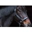 EQUINE MICROTEC Lederhalfter