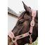 KENTUCKY Teddyfleece-Halfter