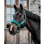 KENTUCKY Halfter Velvet