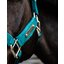 KENTUCKY Halfter Velvet