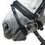 kieffer Trensenzaum Kieffer Ultrasoft® Economy
