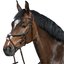 Cheval de Luxe Trensenzaum Miami