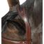 Cheval de Luxe Trensenzaum Chantilly