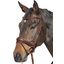 Cheval de Luxe Trensenzaum Chantilly