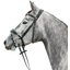 kieffer Trensenzaum Kieffer Ultrasoft® Unah
