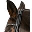 Cheval de Luxe Trensenzaum Montpellier