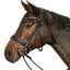 Cheval de Luxe Trensenzaum Montpellier