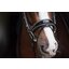 Cheval de Luxe Trensenzaum San Francisco