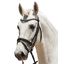 kieffer Trensenzaum Kieffer Ultrasoft® Fashion