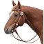 Passion 4Q Westerntrense