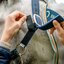 HORSEWARE Halfter Fieldsafe