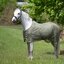 Horse-friends Fliegendecke feinmaschig